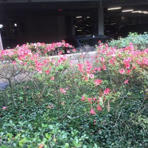 Meet your Posher, Karla